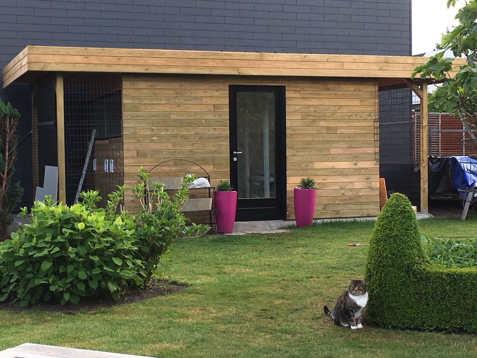 dierenhotels Ettelgem Kamping Kat