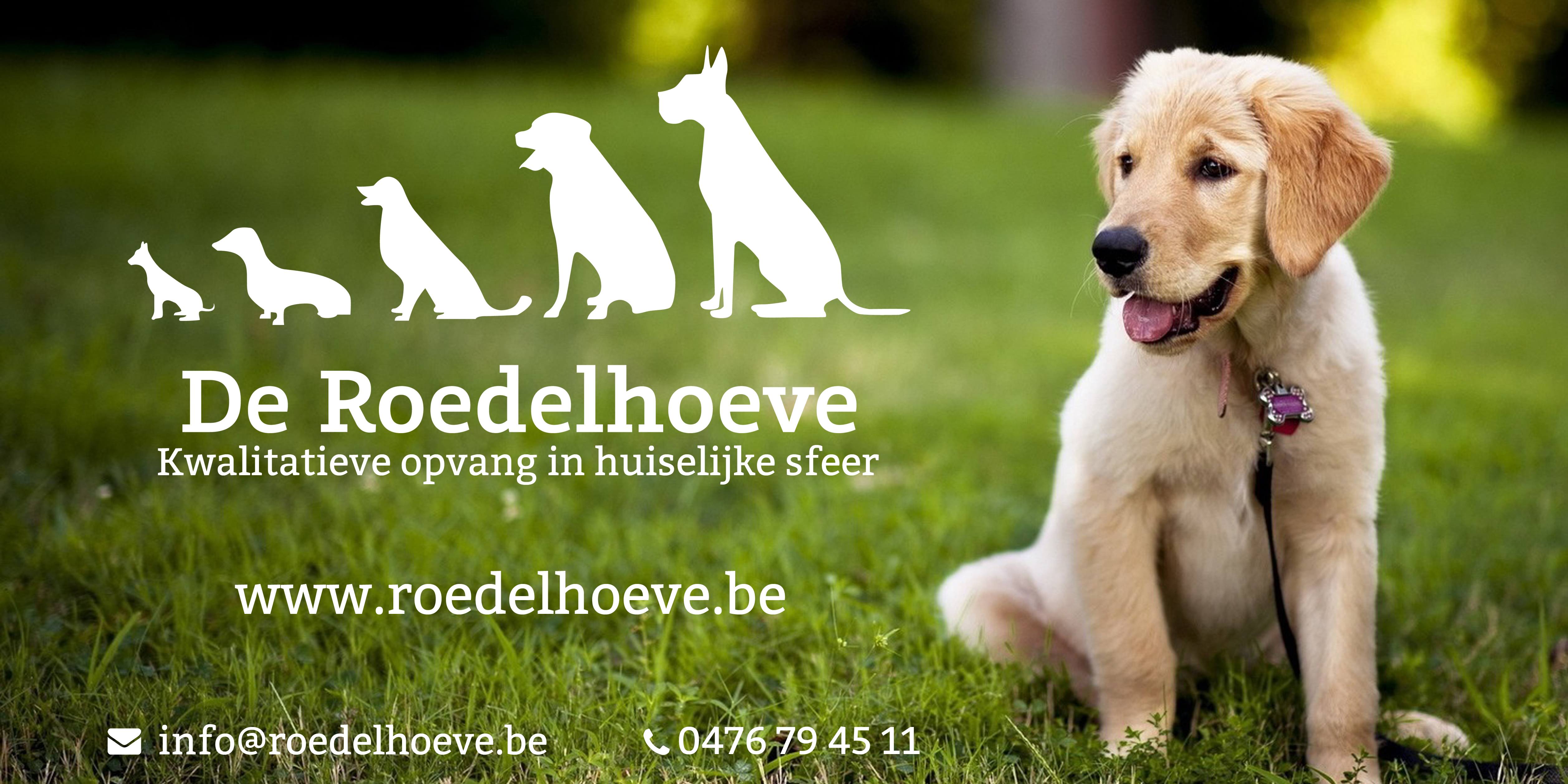 dierenhotels Lichtervelde Roedelhoeve